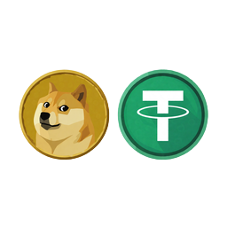 Dogecoin und Tether Coin Icons - DOGE und USDT Zahlungen bei Rainbet